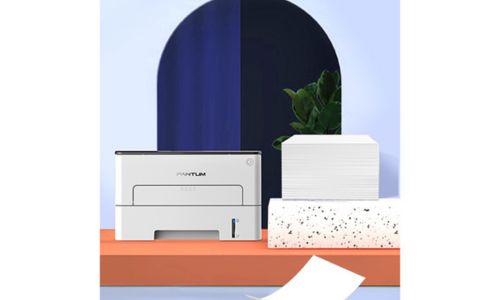 Máy in laser đen trắng PANTUM P3012D