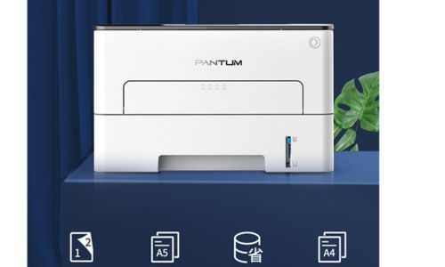 Máy in laser đen trắng PANTUM P3300DN